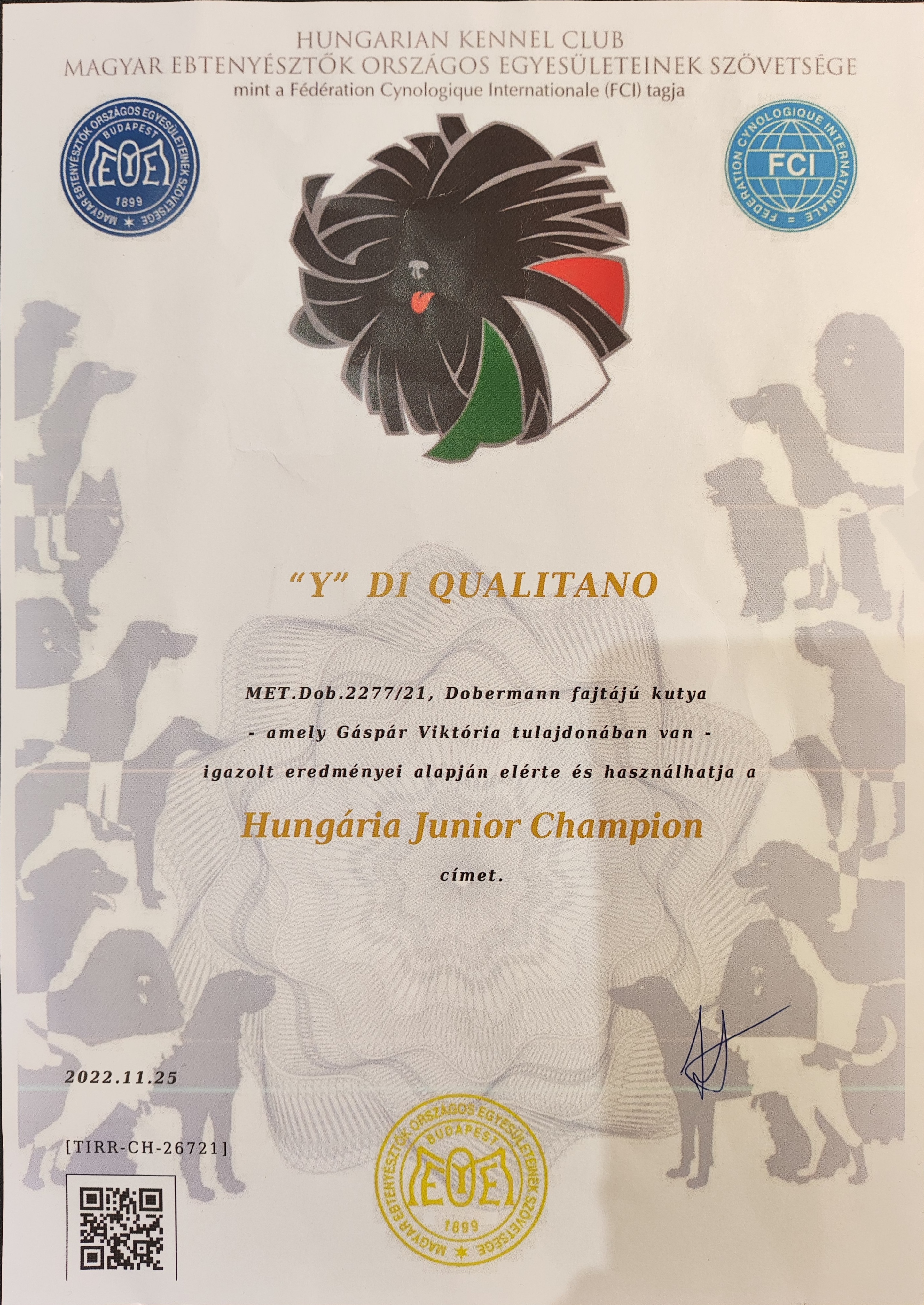 Loni Oklevel 'Hungaria Junior Champion