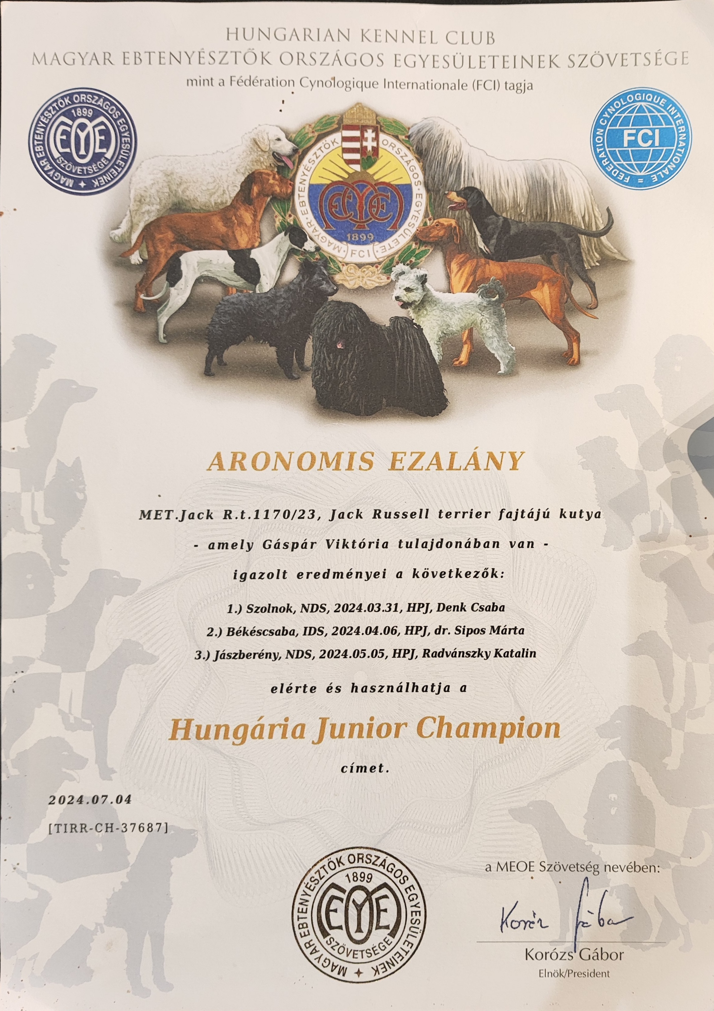 Eza Oklevel 'Hungaria Junior Champion
